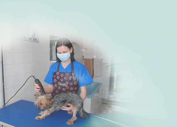 Biovet - clinica veterinara